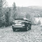 Monochrome image of a Kia Sorento SUV parked on a forest road on a misty day.