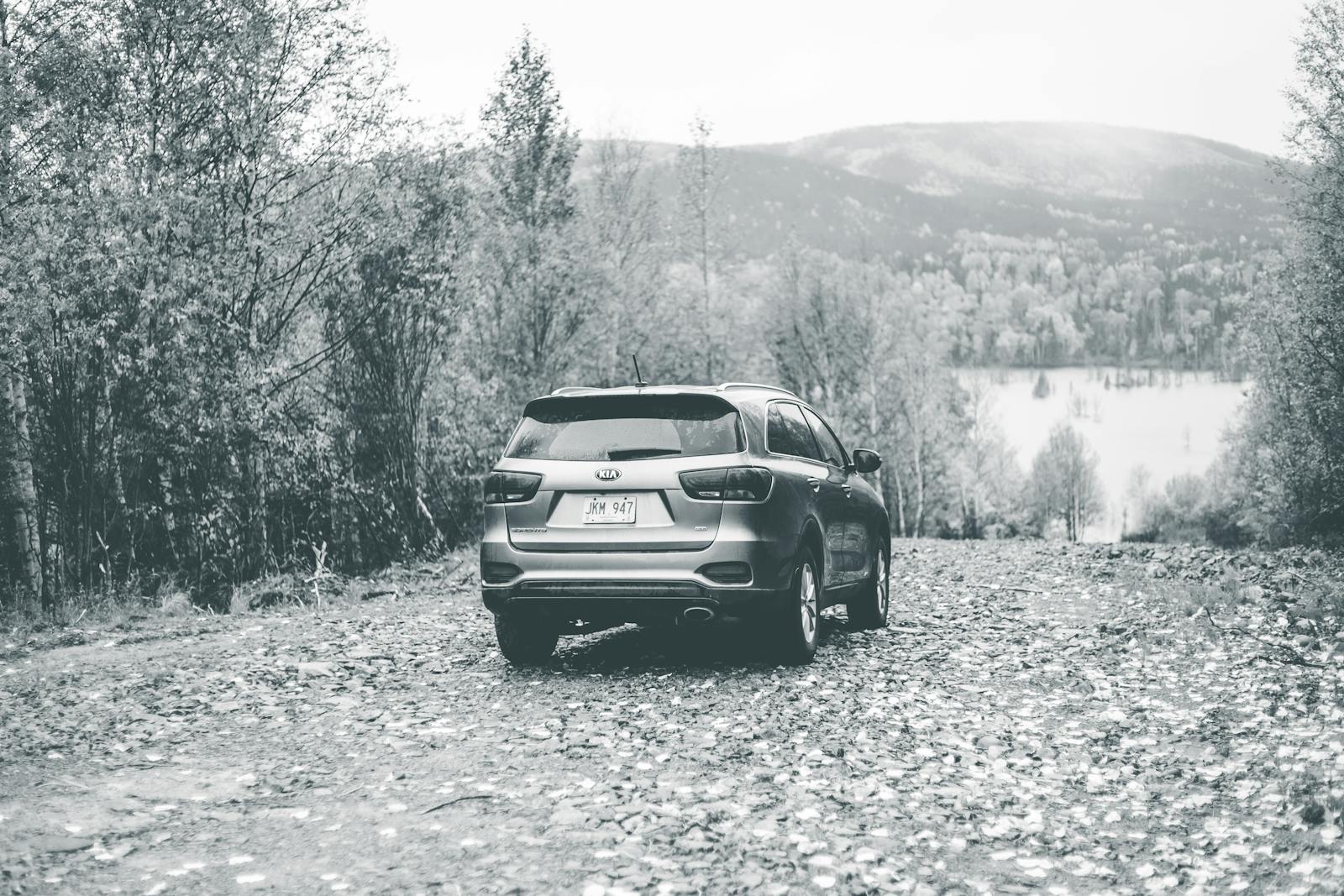 Monochrome image of a Kia Sorento SUV parked on a forest road on a misty day.