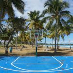 Home 7 white and blue basketball hoop near palm trees during daytime