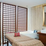 A spa room with a spa bed and a shower